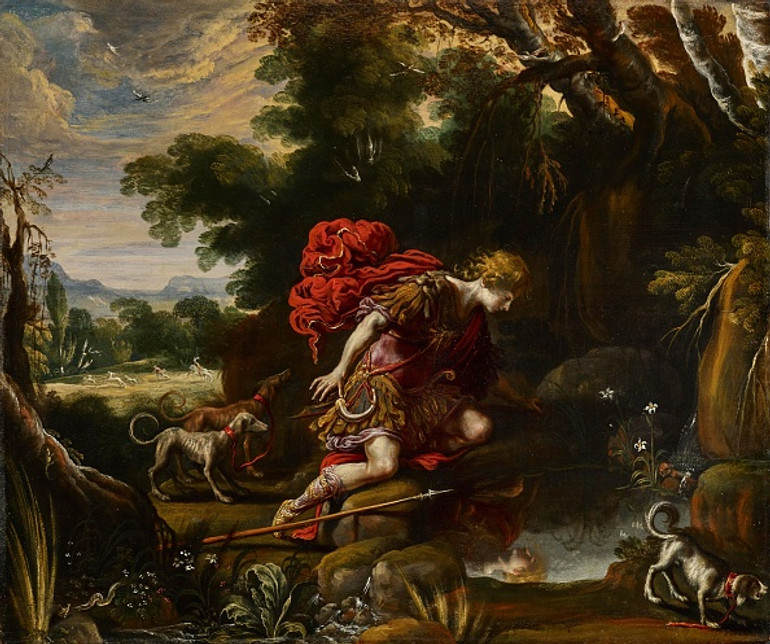 Хто такі нарциси