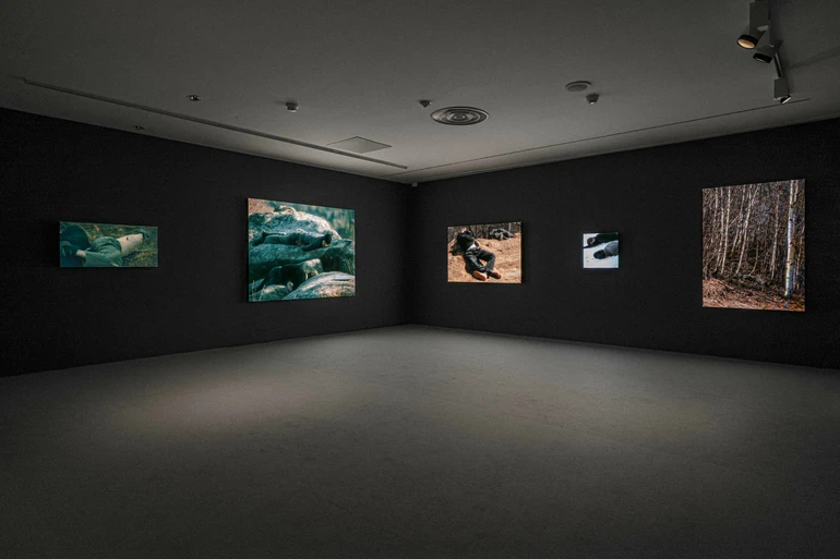 Вигляд експозиції “Педагогіки війни” в Museo Nacional Thyssen-Bornemisza. Кураторка: Чус Мартінез.