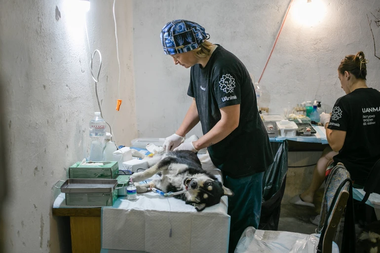 Евакуація тварин