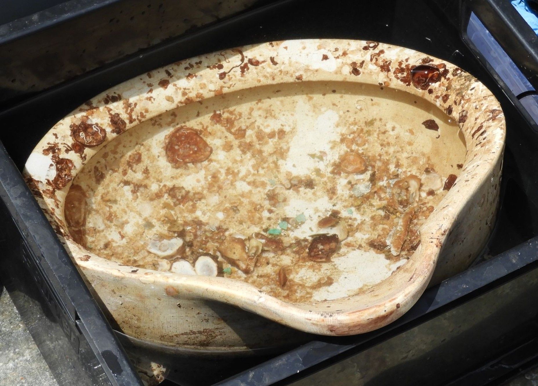 Предмети з корабля часів Першої світової