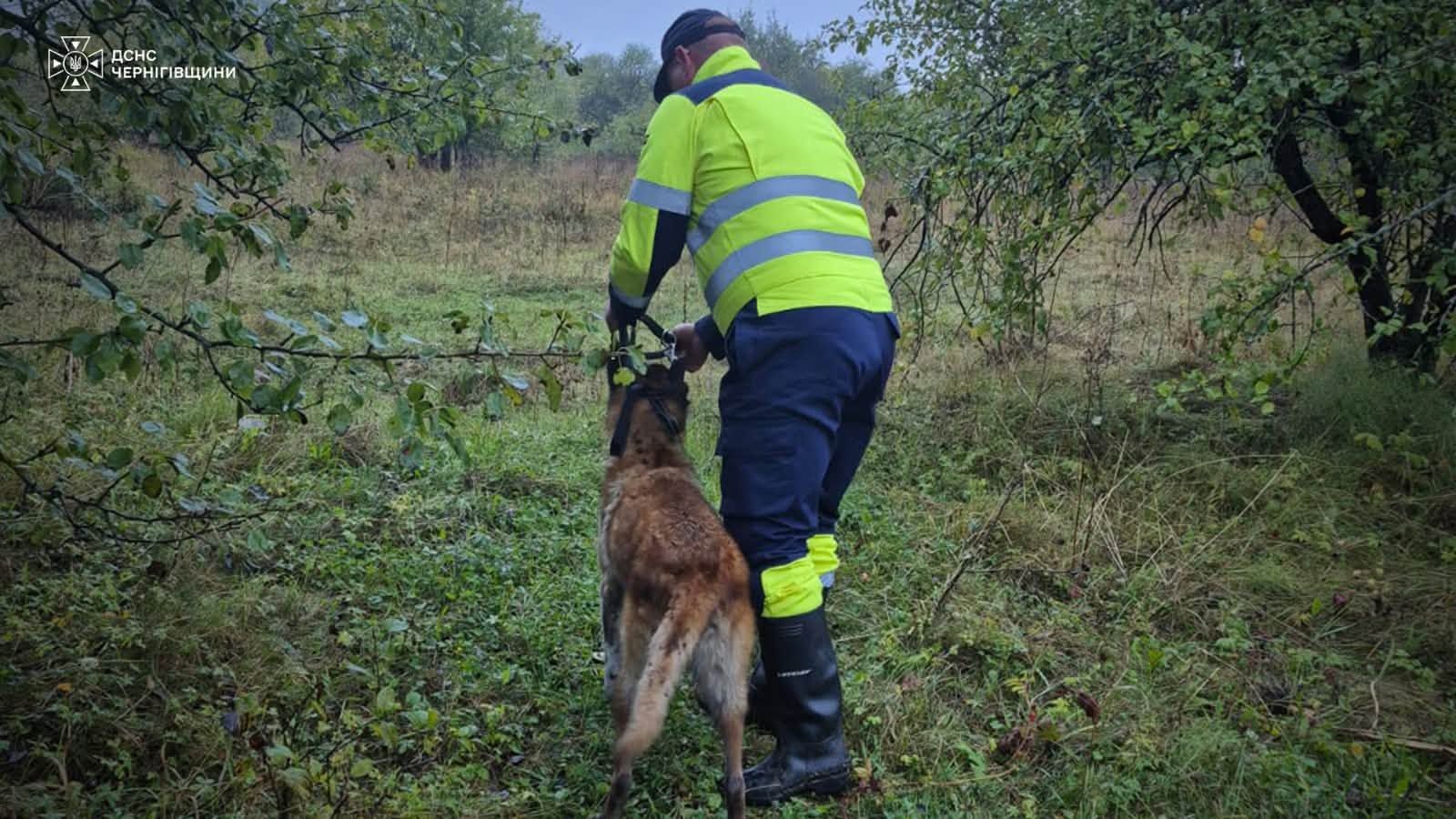 Кінолог із собакою шукають зниклого хлопчика