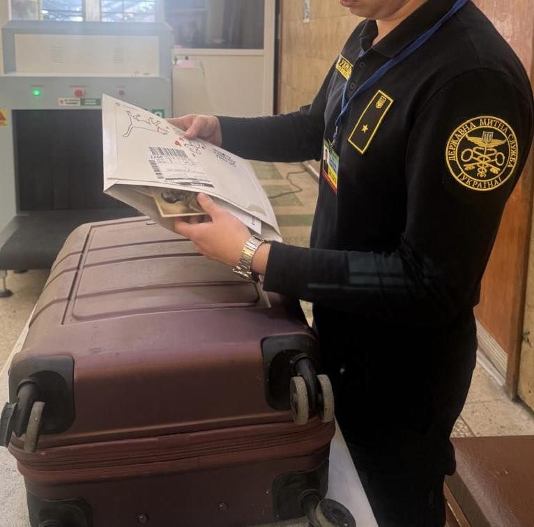 Перевірка митників