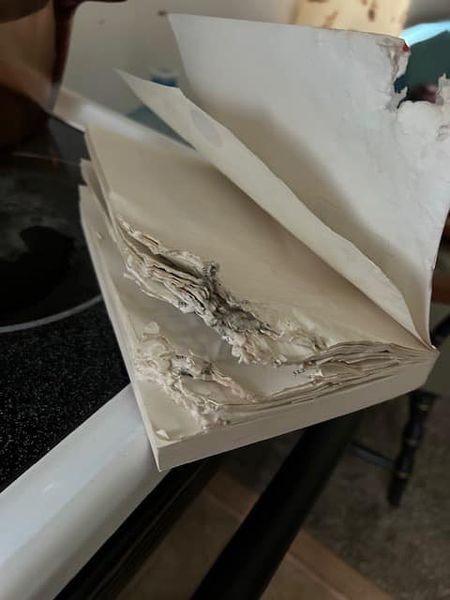 Пошкоджені сторінки книги
