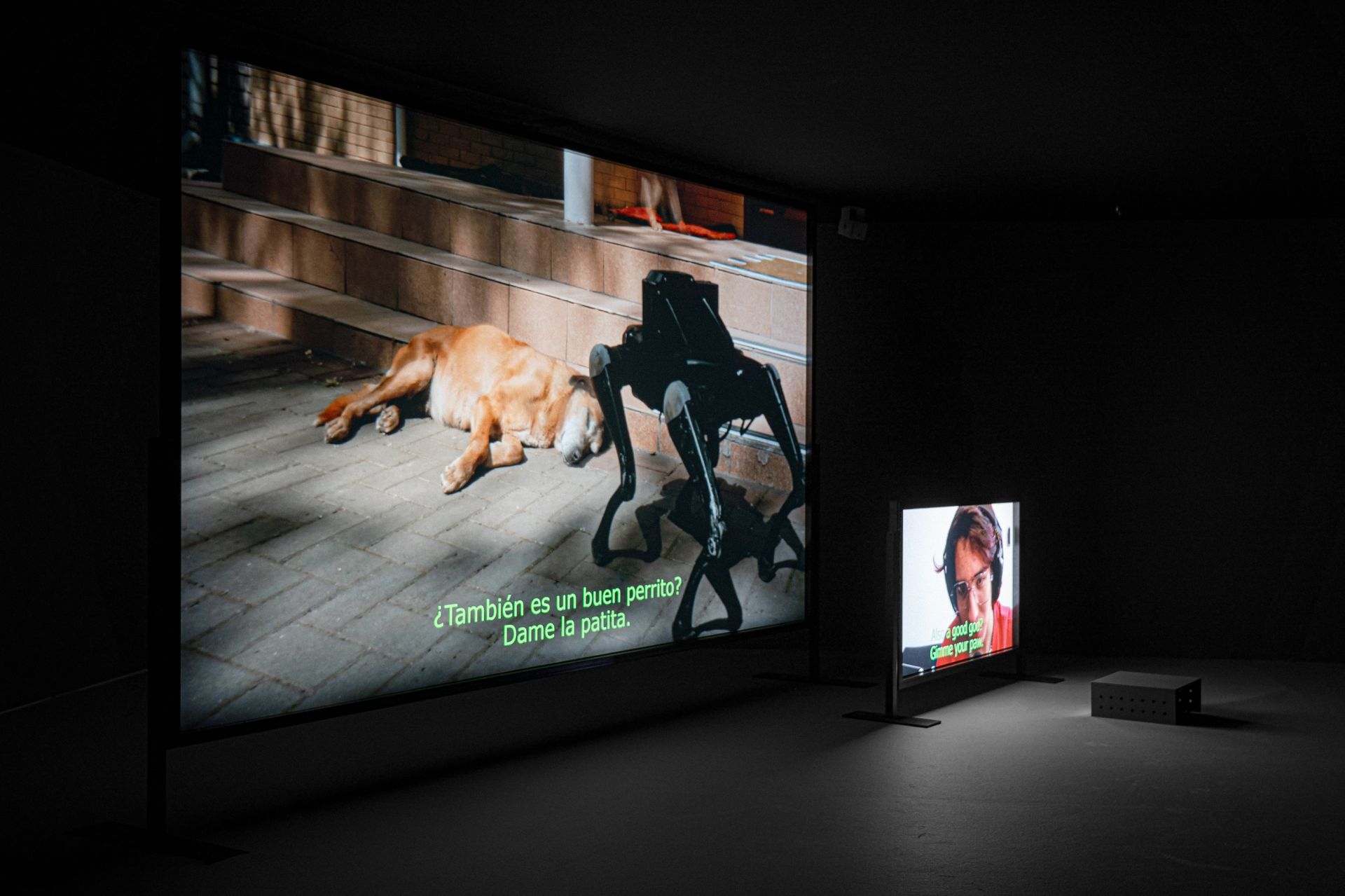 Вигляд експозиції “Педагогіки війни” в Museo Nacional Thyssen-Bornemisza. Кураторка:  Чус Мартінез.