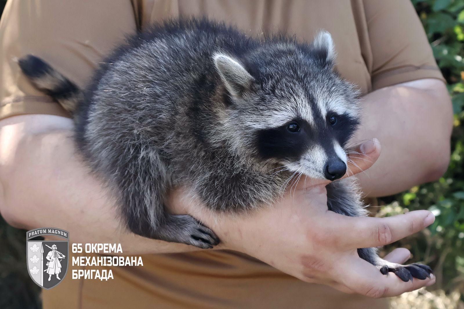 Сержантка Моллі