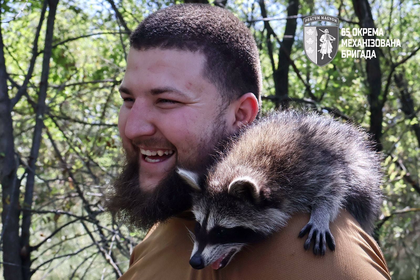 Маленький єнот на плечі бійця