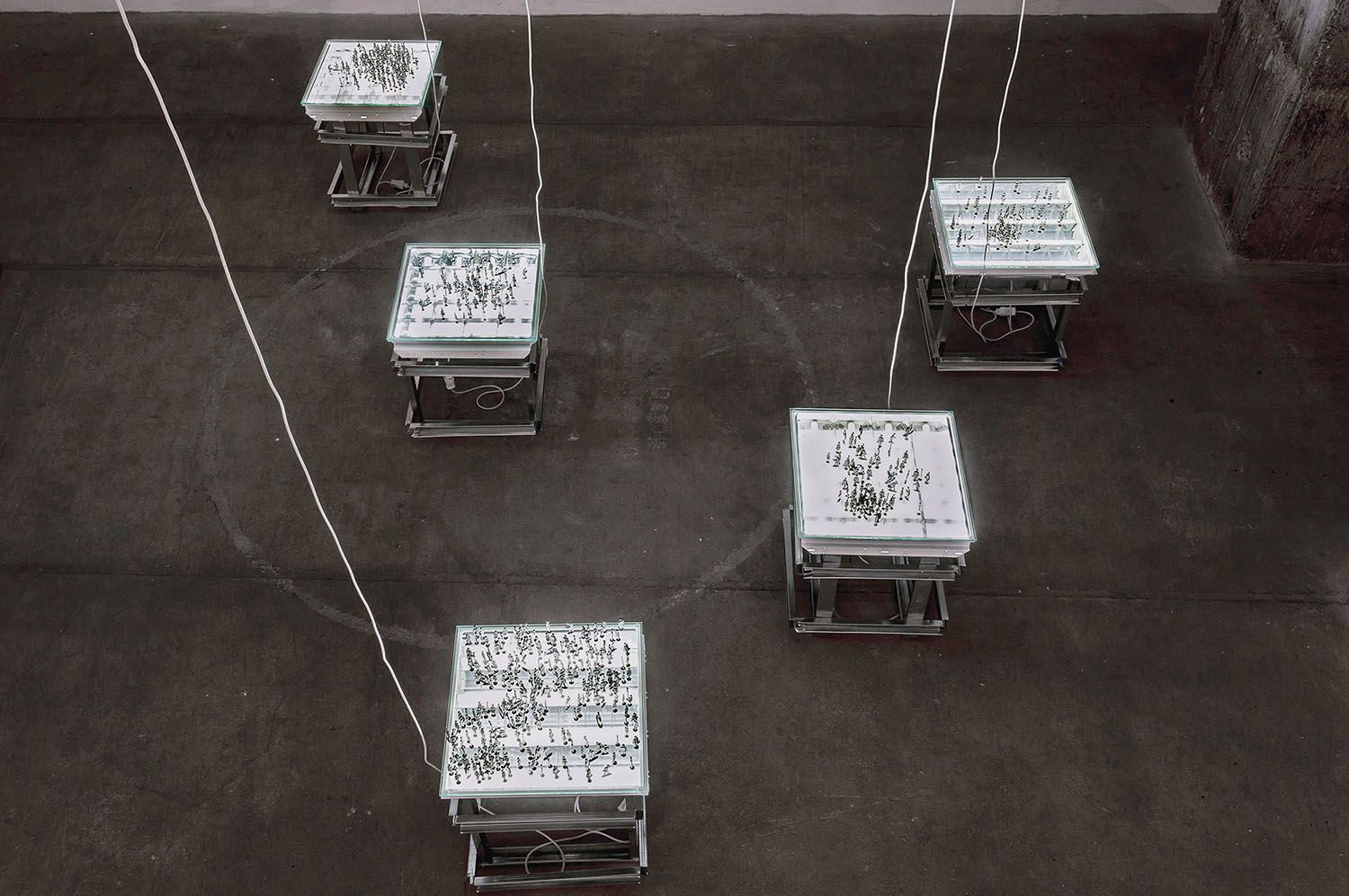 Олексій Сай, Пліснява, 2009-2014. Інсталяція. Вид виставки "Зникаючий вид" в ЄрмиловЦентрі, Харків.