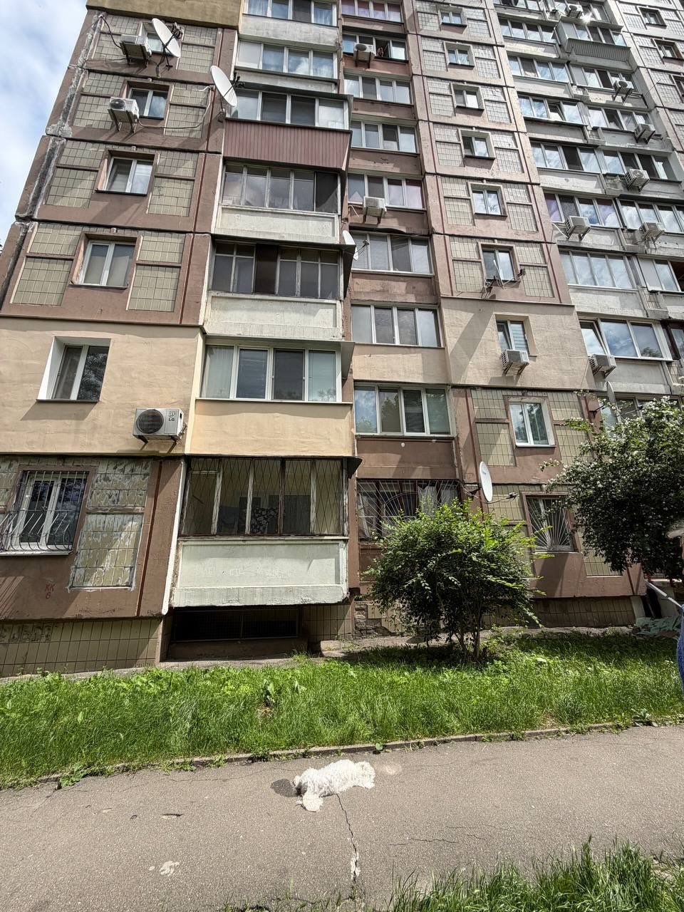 Собака під багатоповерхівкою