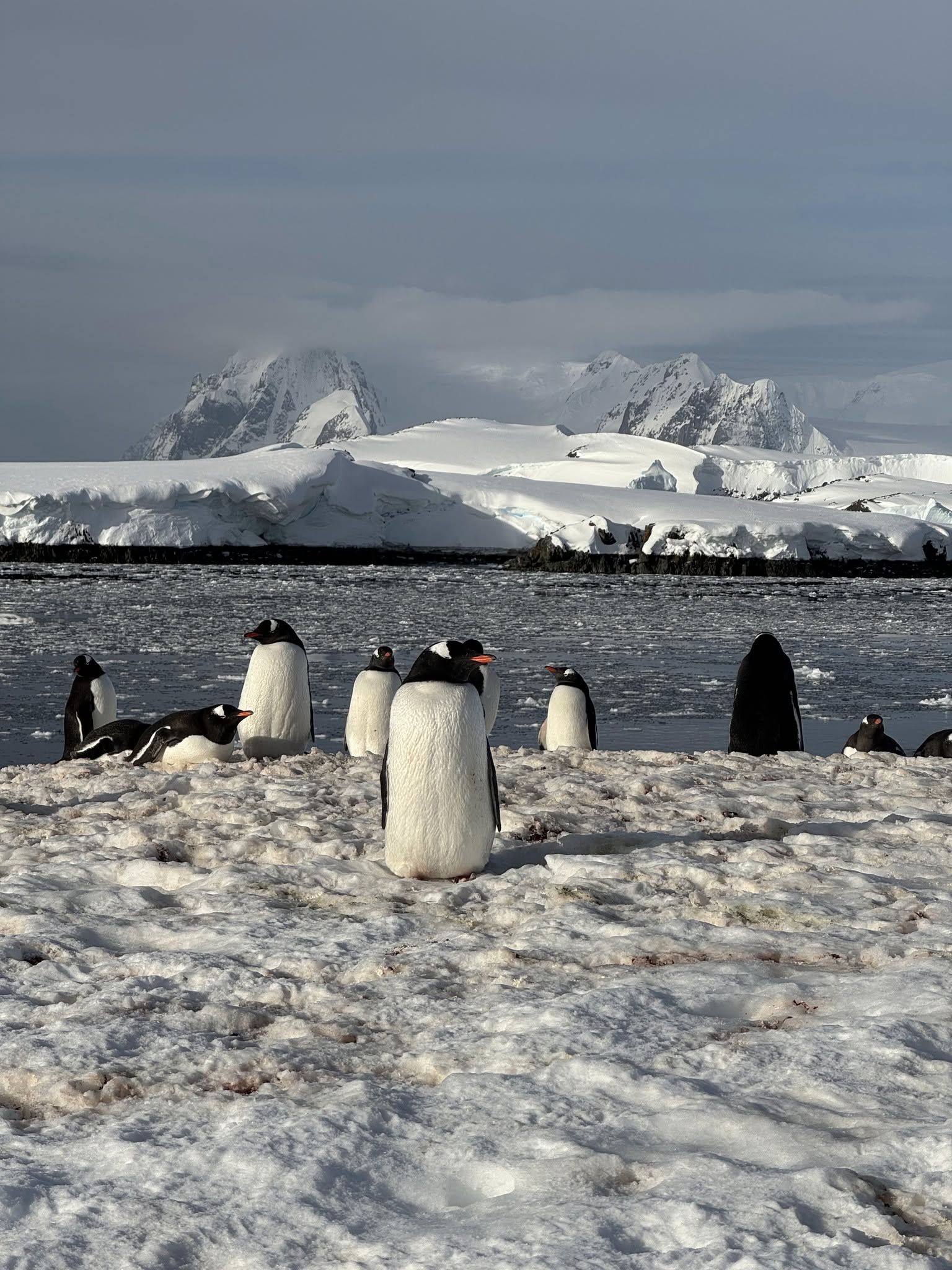 Острів Галіндез