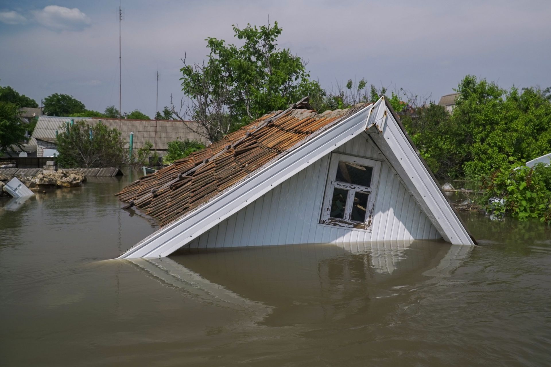 Світлина Дмитра Стойкова
