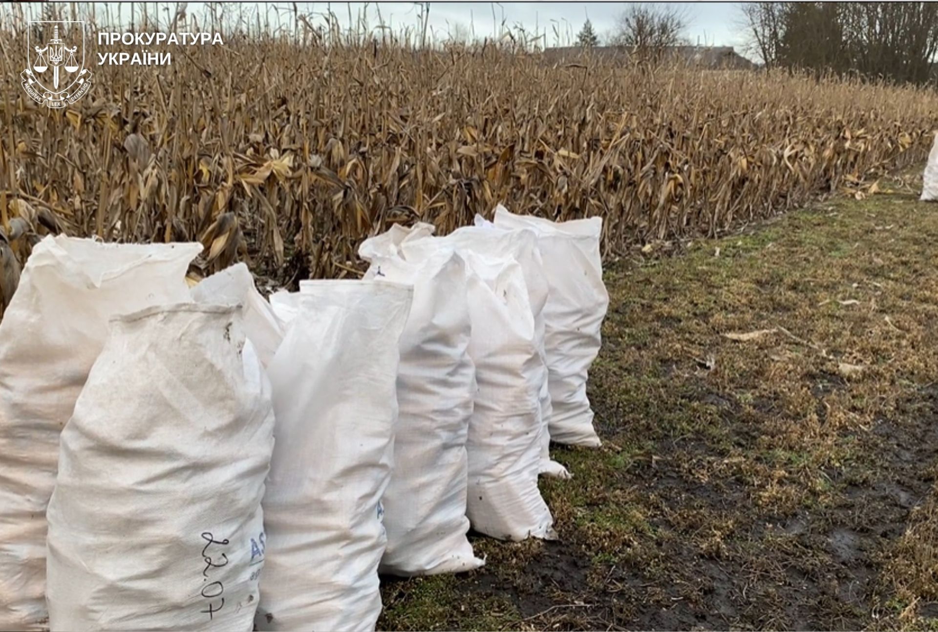 Підопічних примушували фасувати зерно