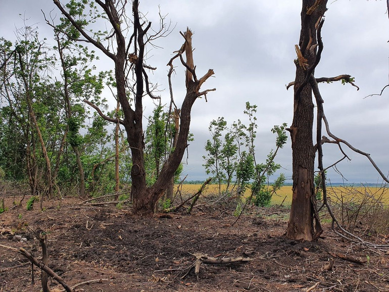 Наслідки ворожих обстрілів посадки