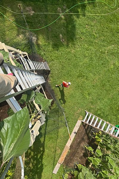 Висота 11 метрів