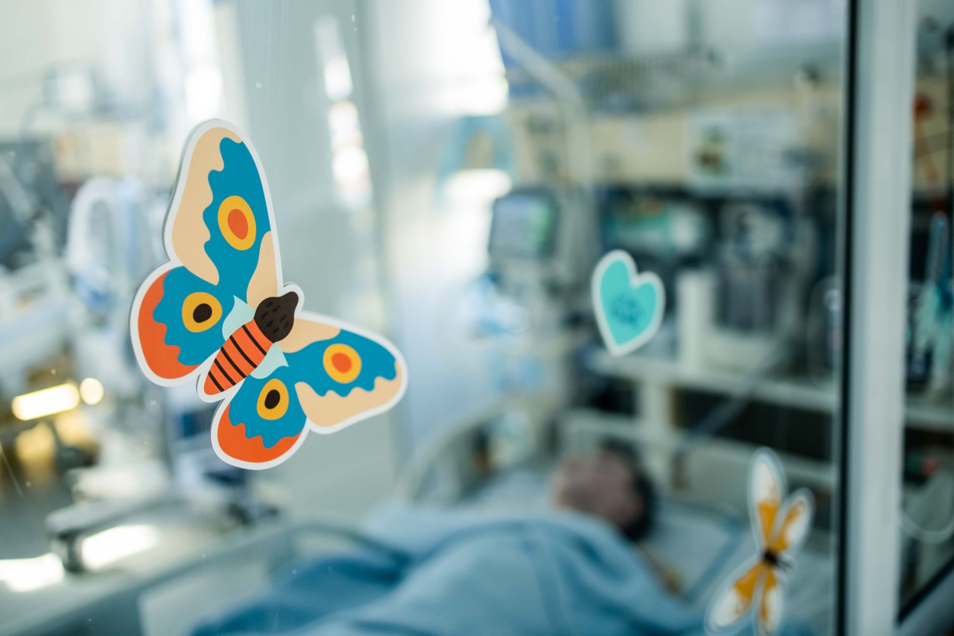 Всеукраїнський День Метеликів