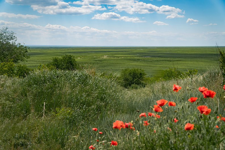Краєвид Великого Лугу, Дніпропетровська область. Фото Юрій Тинний