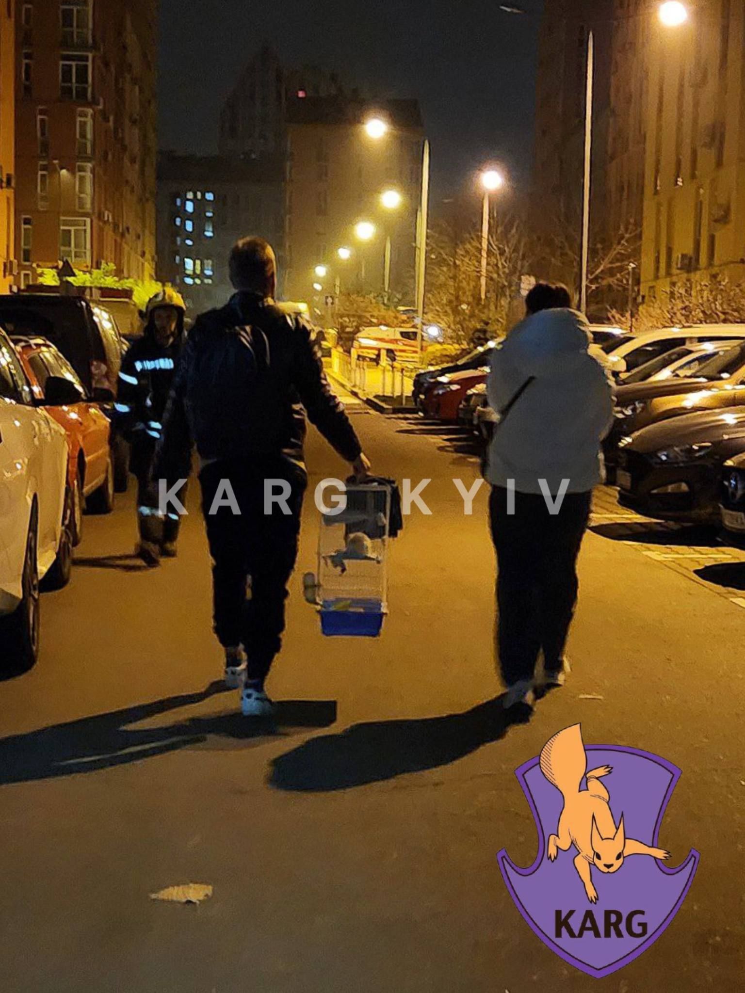 Порятунок тварин