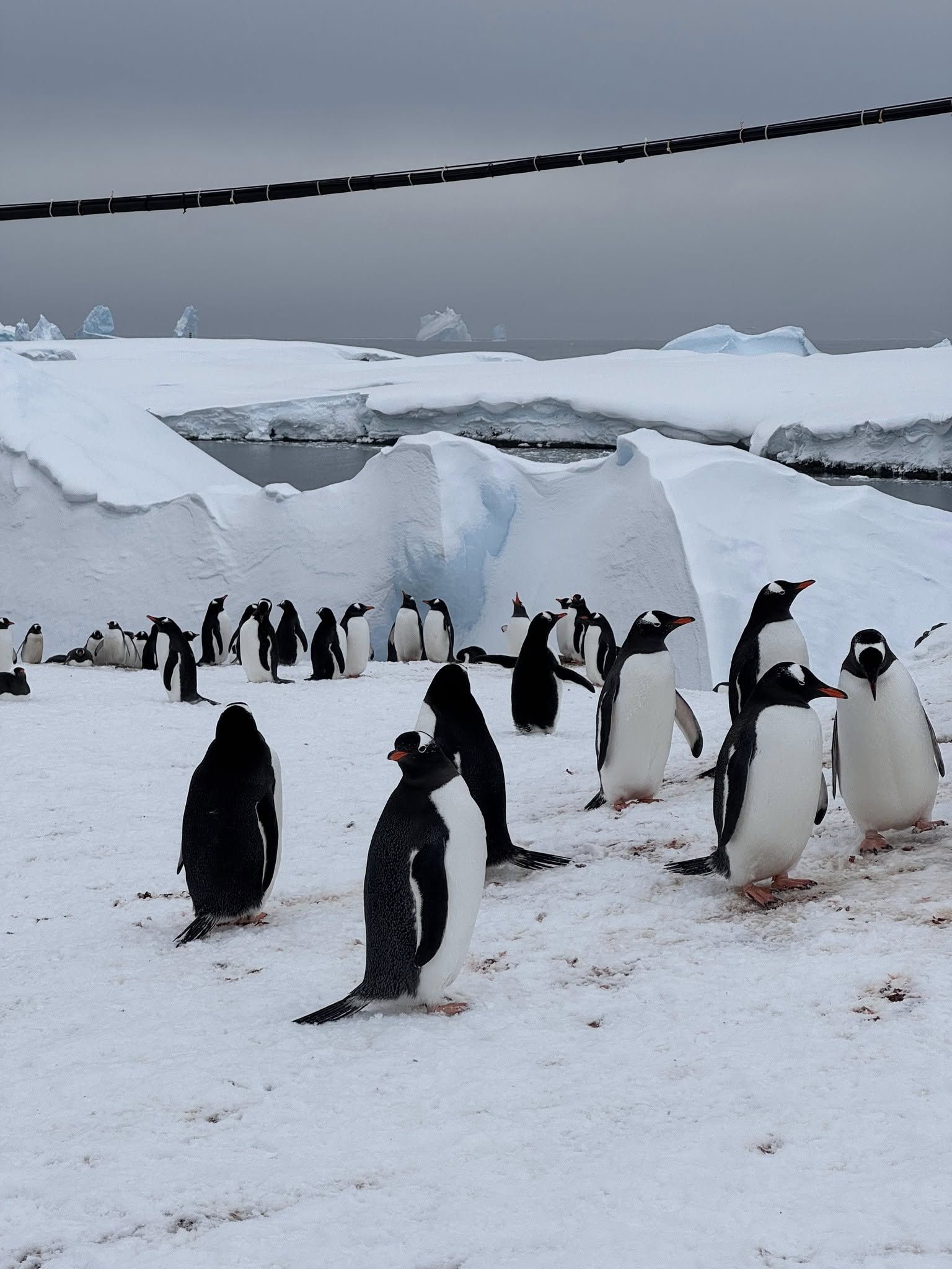 Станція "Академік Вернадський"