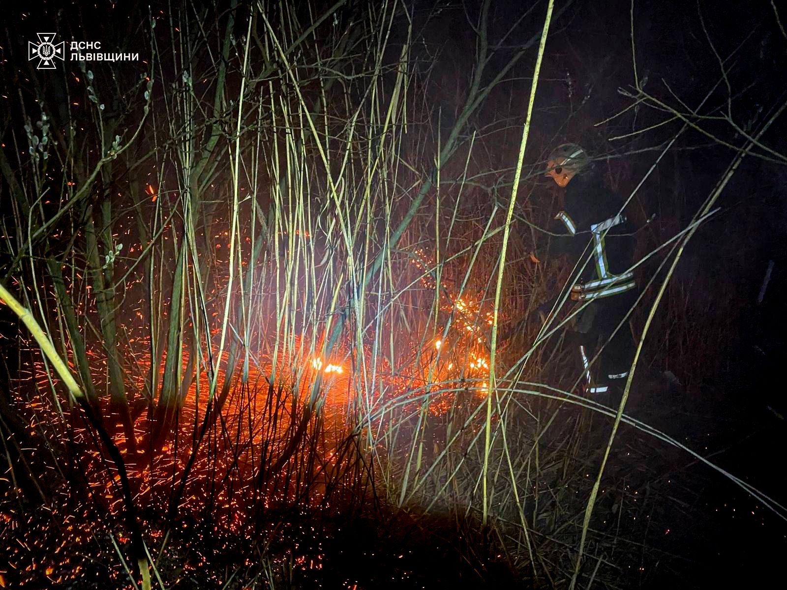 Горіння сухостою