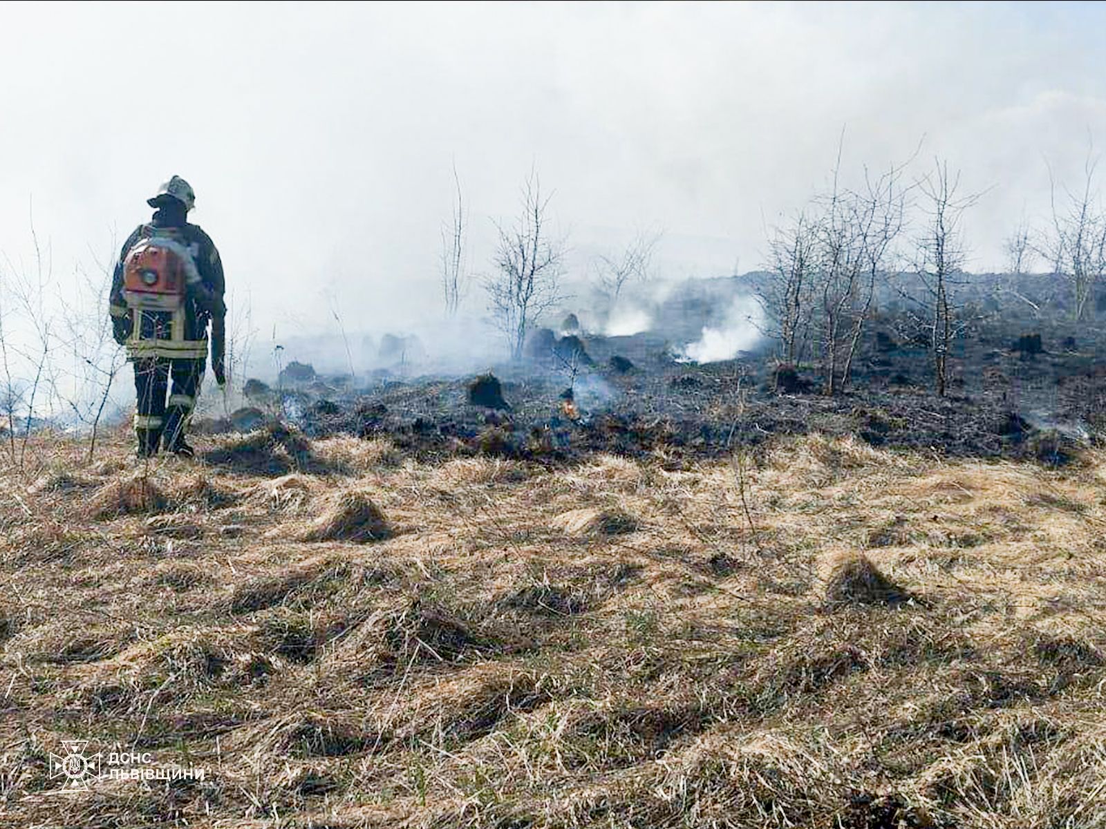 Наслідки горіння сухої трави