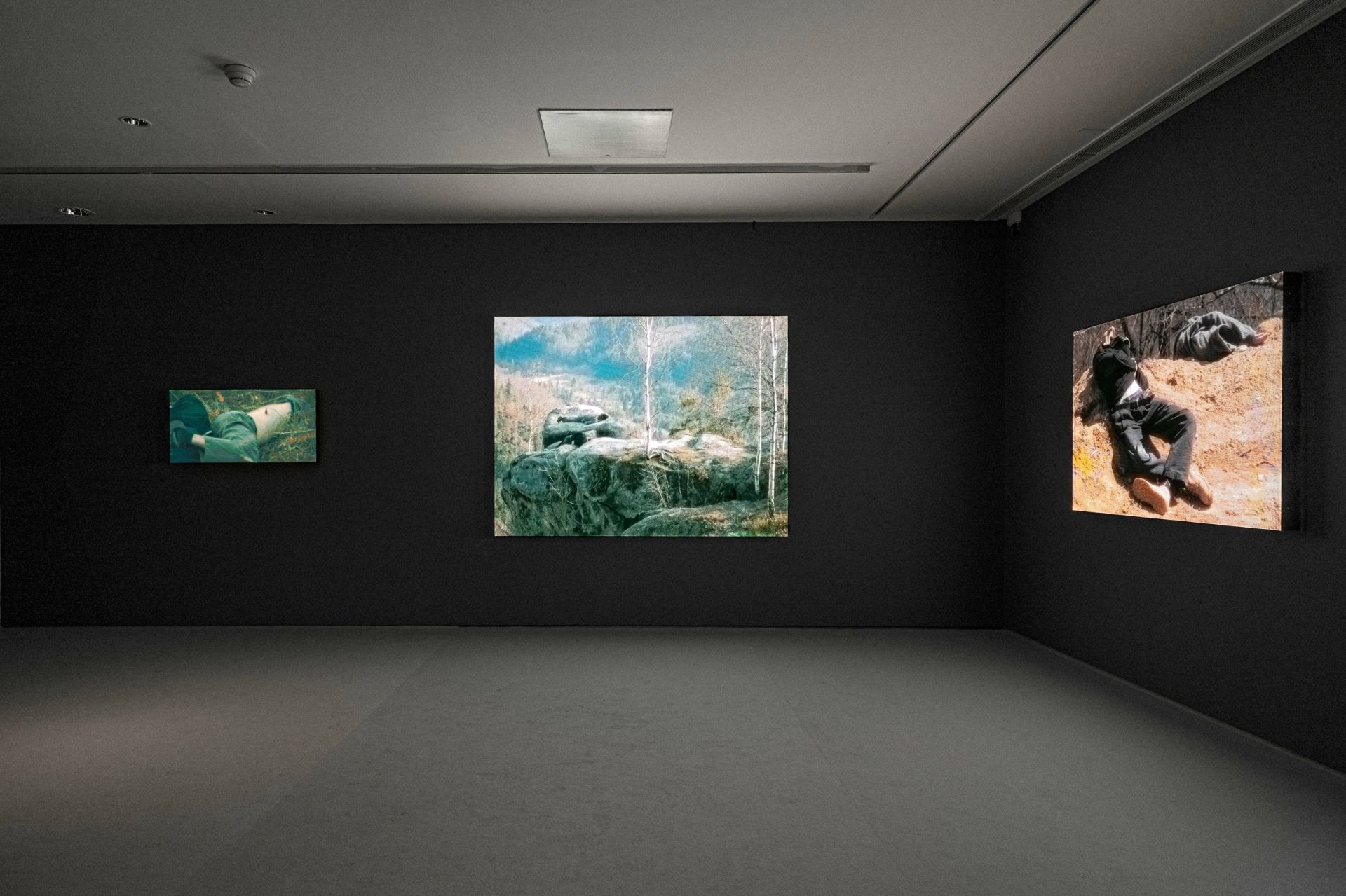 Вигляд експозиції “Педагогіки війни” в Museo Nacional Thyssen-Bornemisza. Кураторка:  Чус Мартінез.