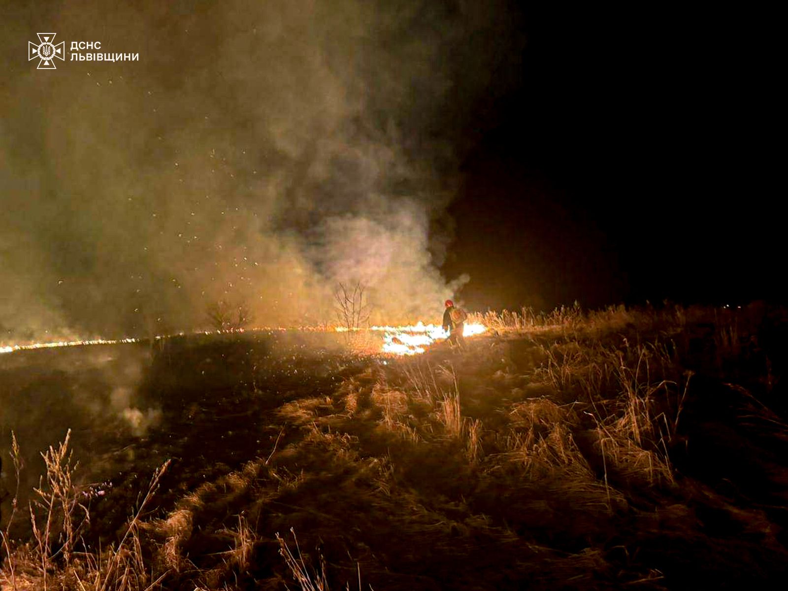 Займання сухої трави