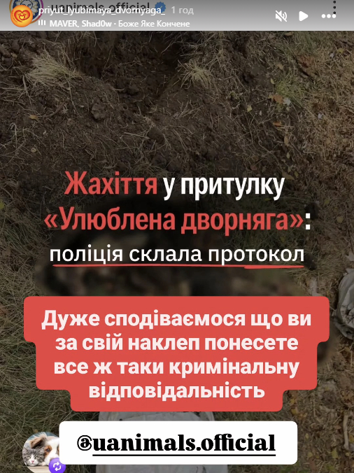 Реакція притулку на звинувачення