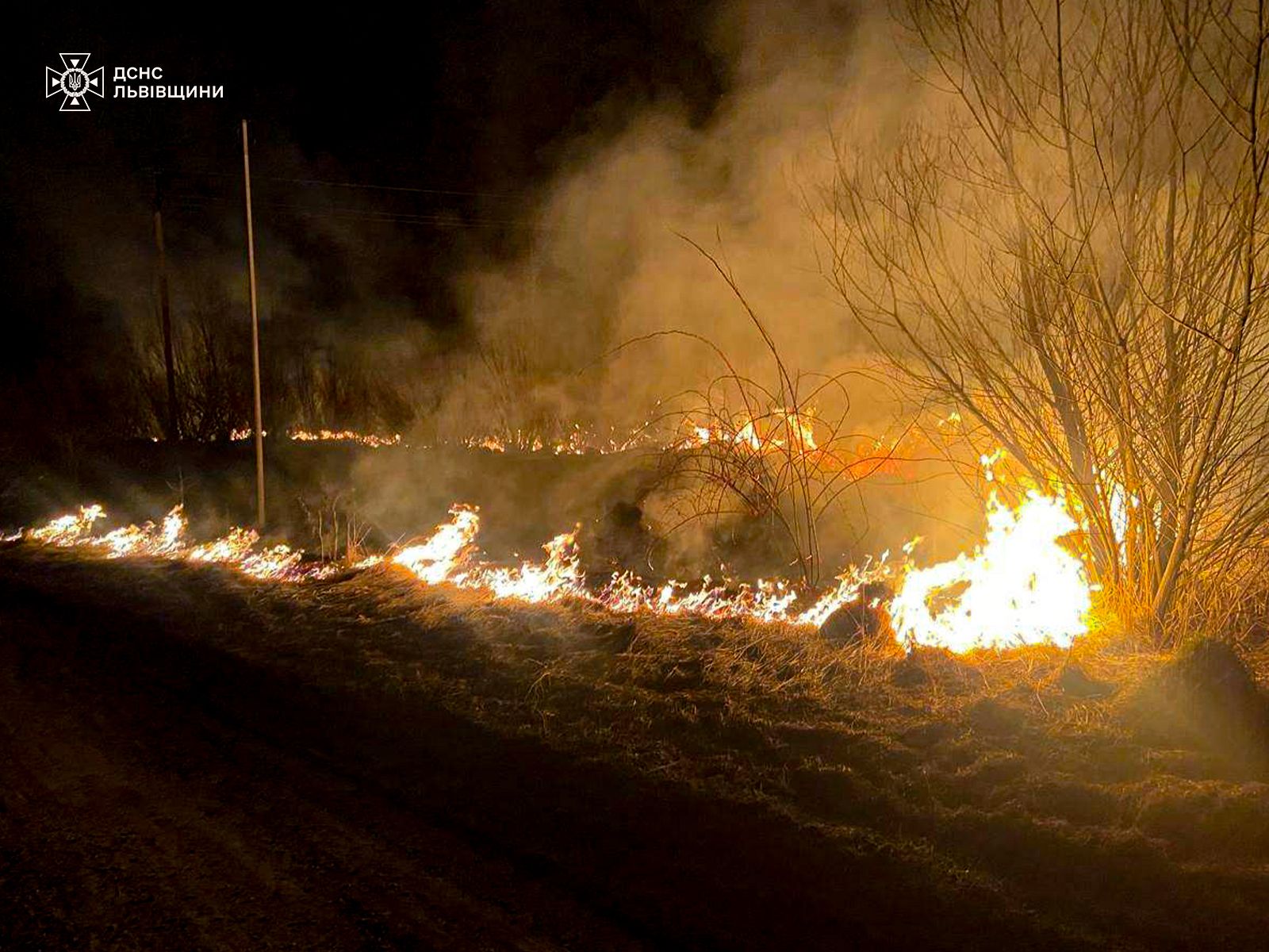 Рятувальники гасять сухостій