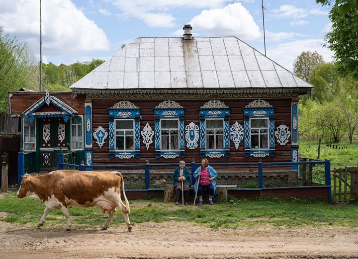 Хата у селі Ловинь, Чернігівська область. Фото: Анна Ільченко