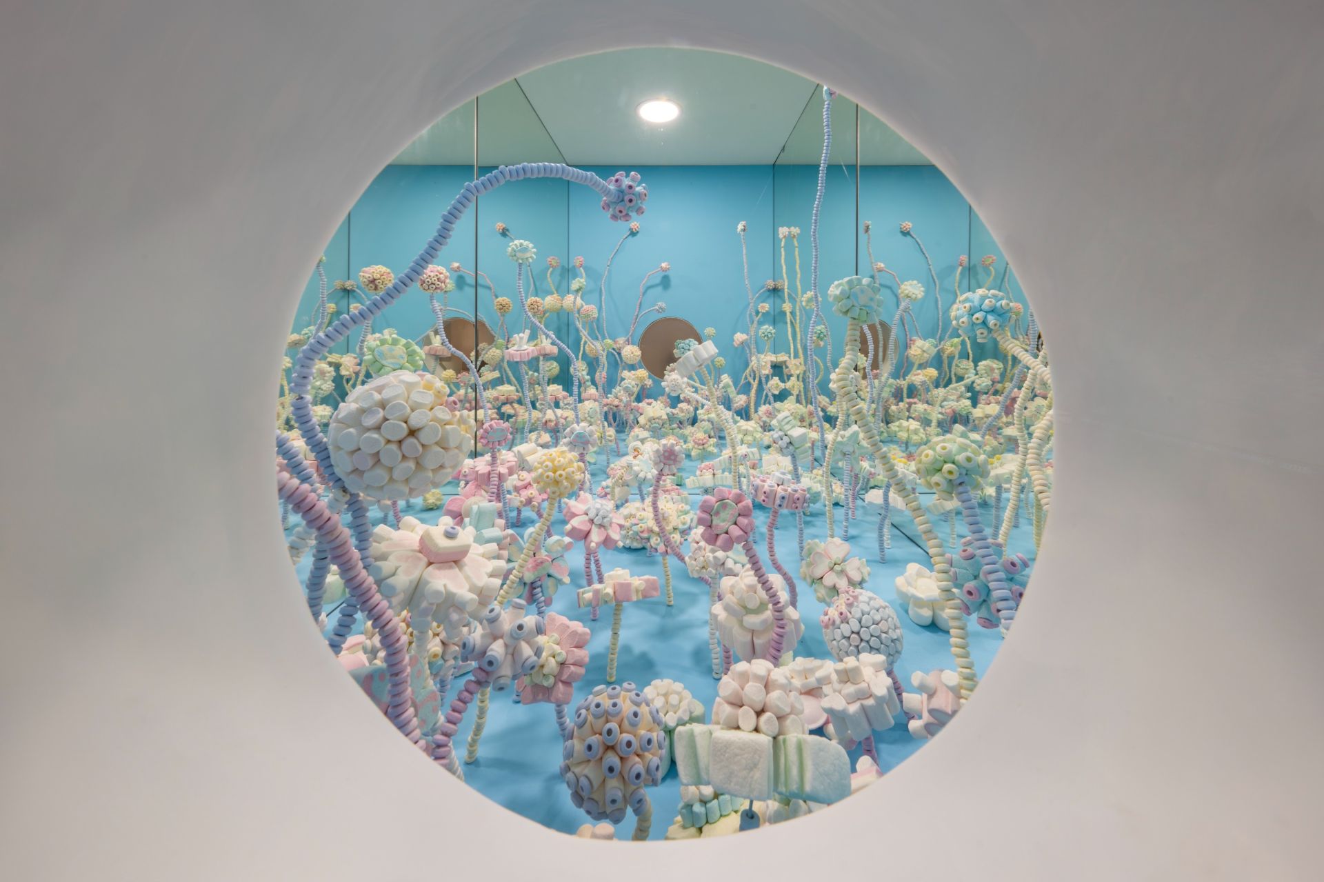 Сімоне Пост, «Солодкі спогади», 2025. «Радість», 2026.