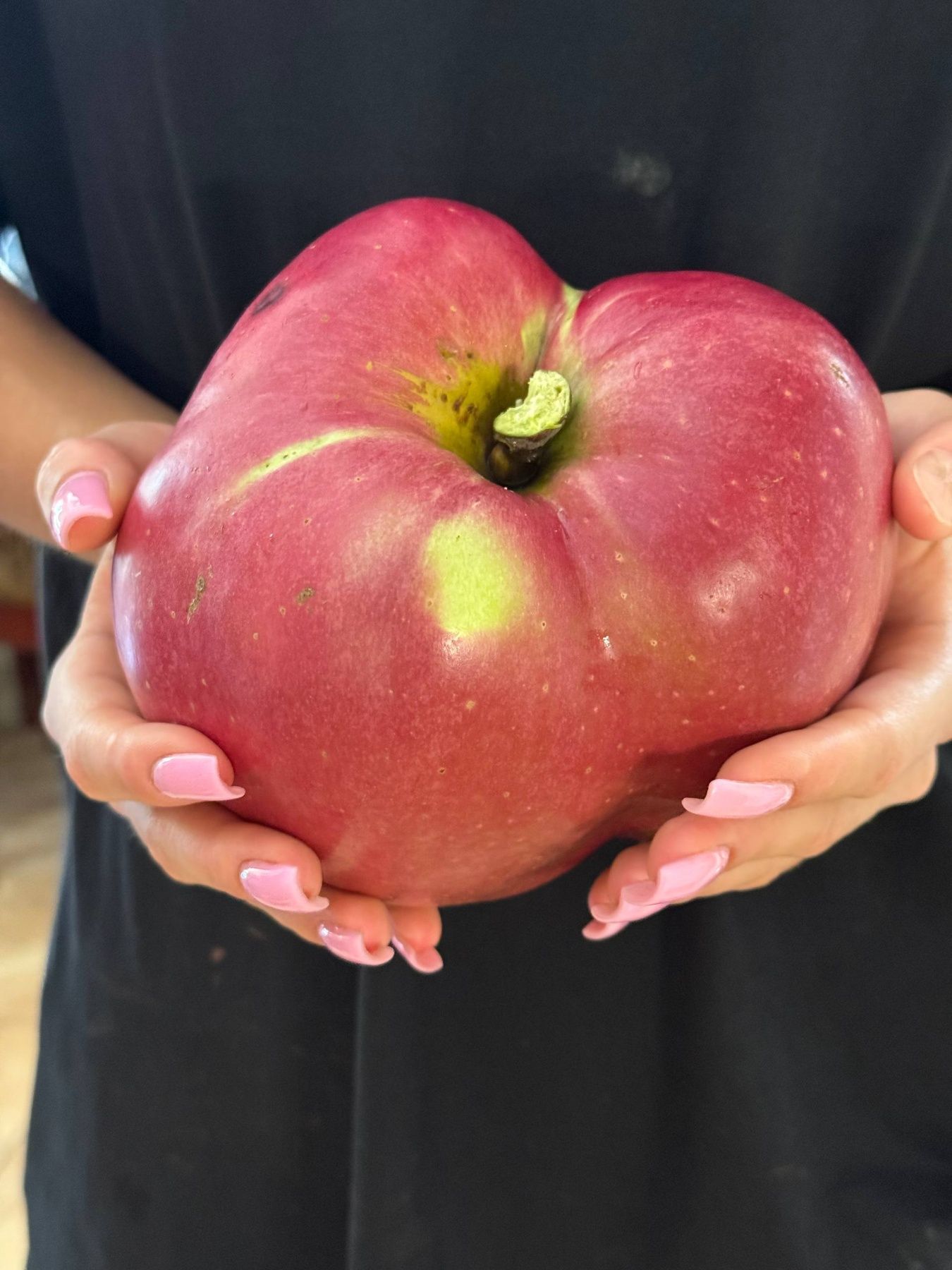 Яблуко-рекордсмен