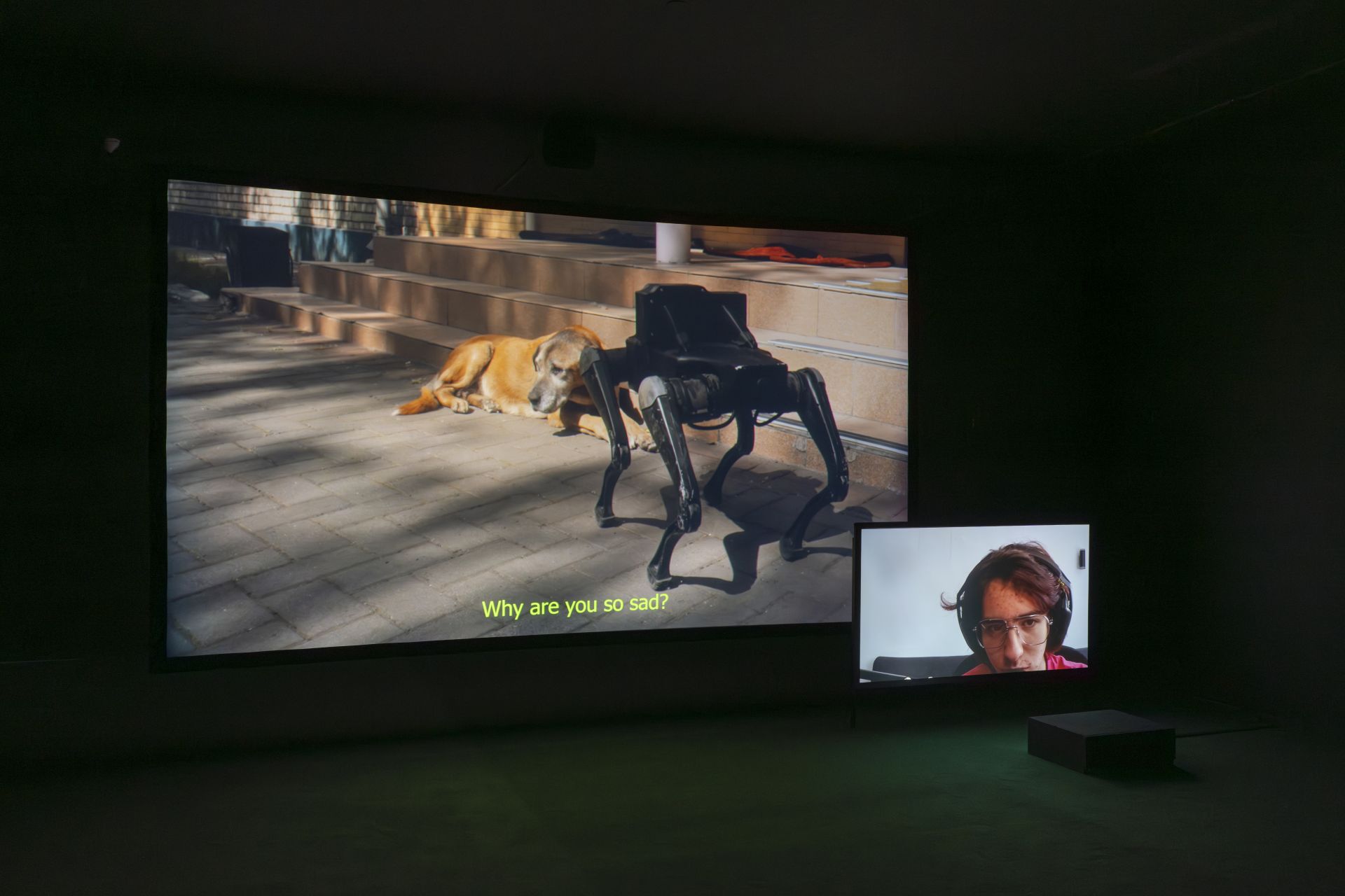 Роман Хімей та Ярема Малащук, «Відкритий світ», 2025, двоканальне відео. «Радість», 2026.